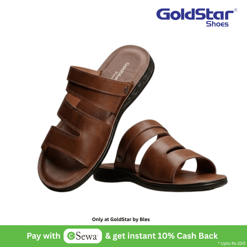Goldstar Ari-5005 Brown Men's Casual Slide Sandals â€“